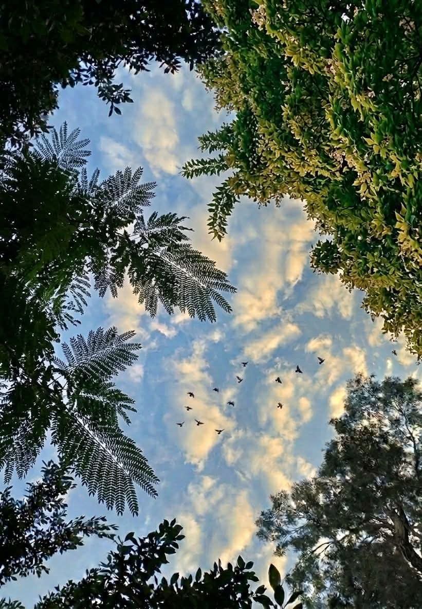 Mariam • tweet media