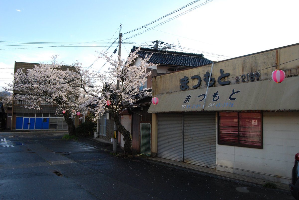 浮き輪 tweet media