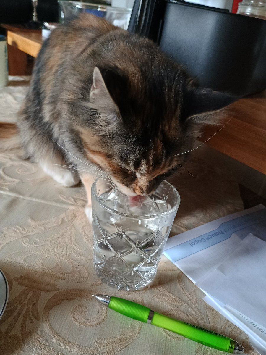 Zifferotikon 🇸🇪 tweet media