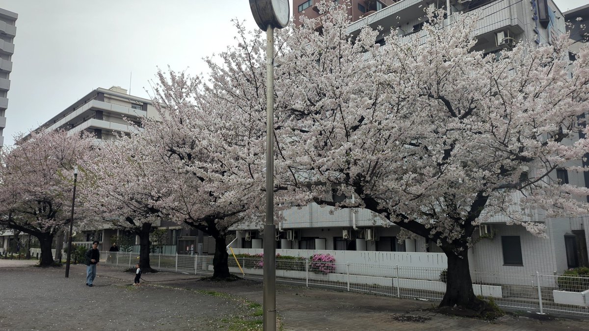 関谷英明(SEKIYA Hideaki) tweet media