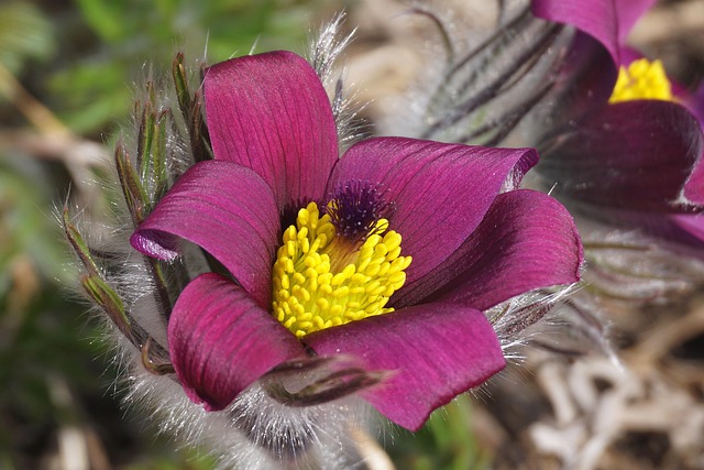 Patsy Santos tweet media