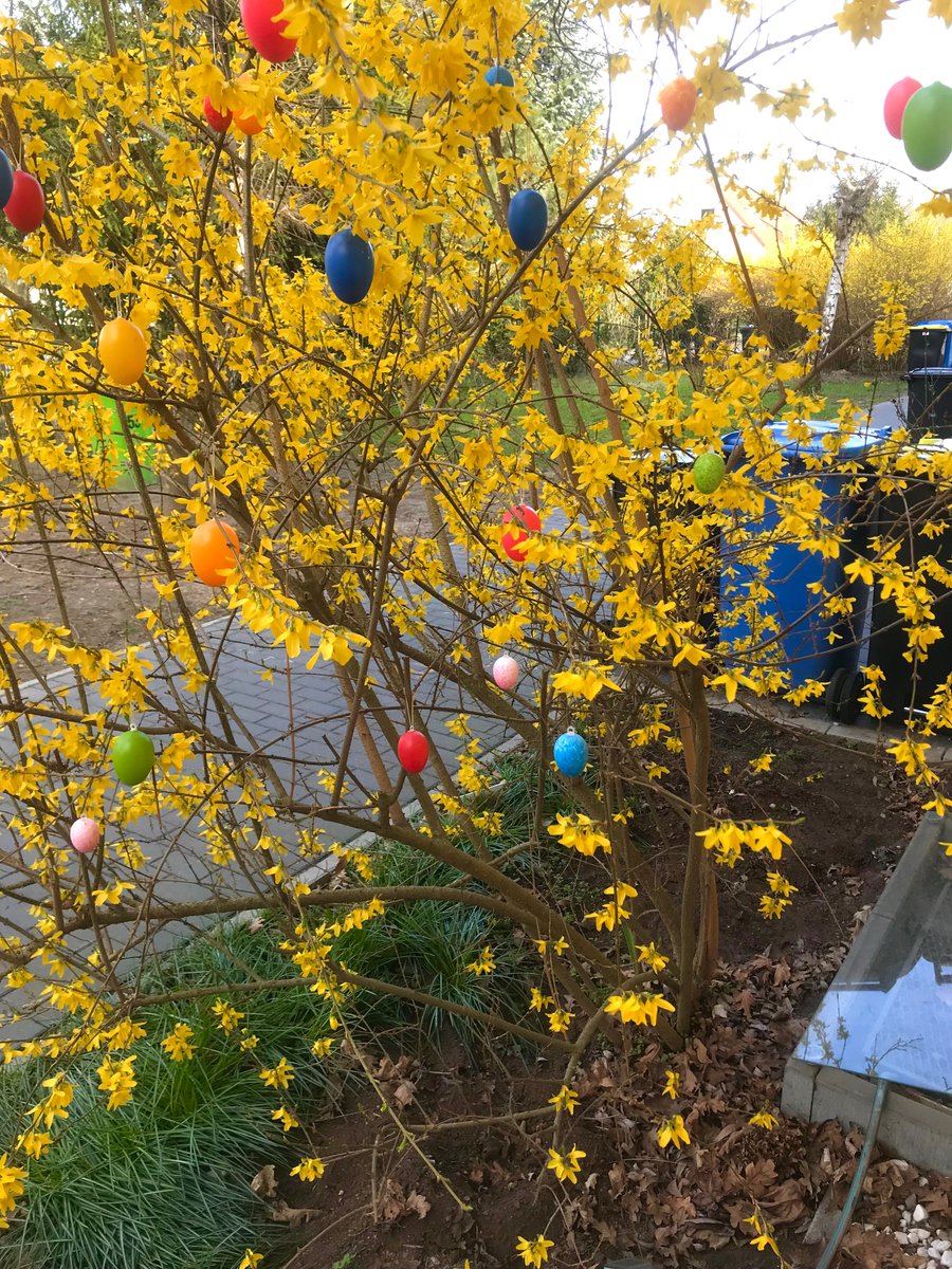 Jan-Ludvík tweet media