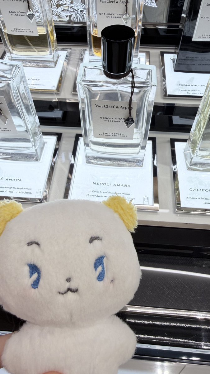 mychu ૮꒰˶ฅ́˘ฅ̀˶꒱ ིྀა tweet media