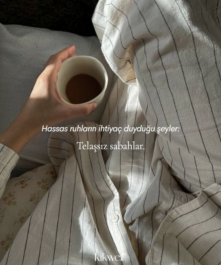 birteraphy's tweet photo. telaşsız sabahlar. https://t.co/mV8y8FxXEi