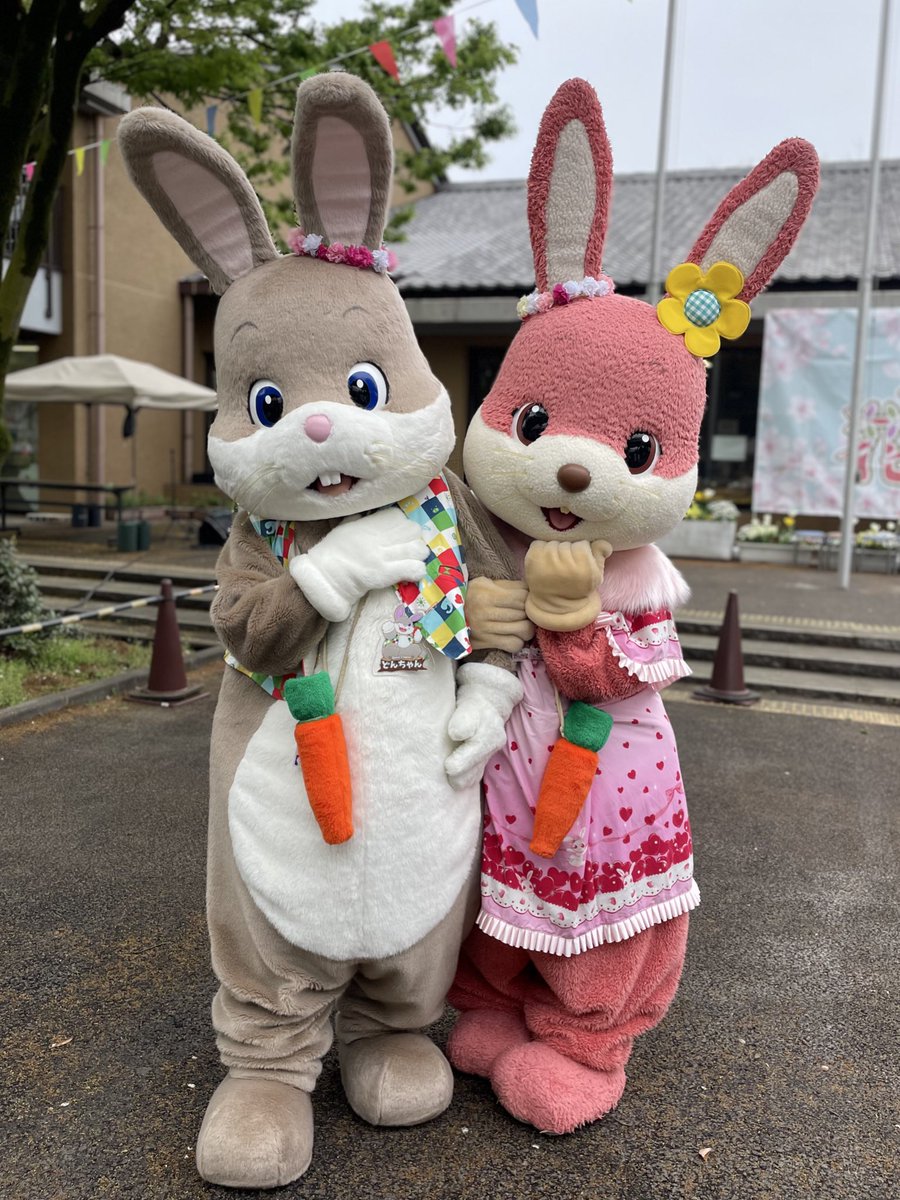 Mimirol Ipsum tweet media