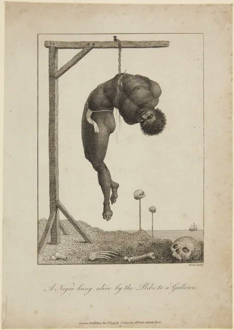 Archaeo - Histories tweet media