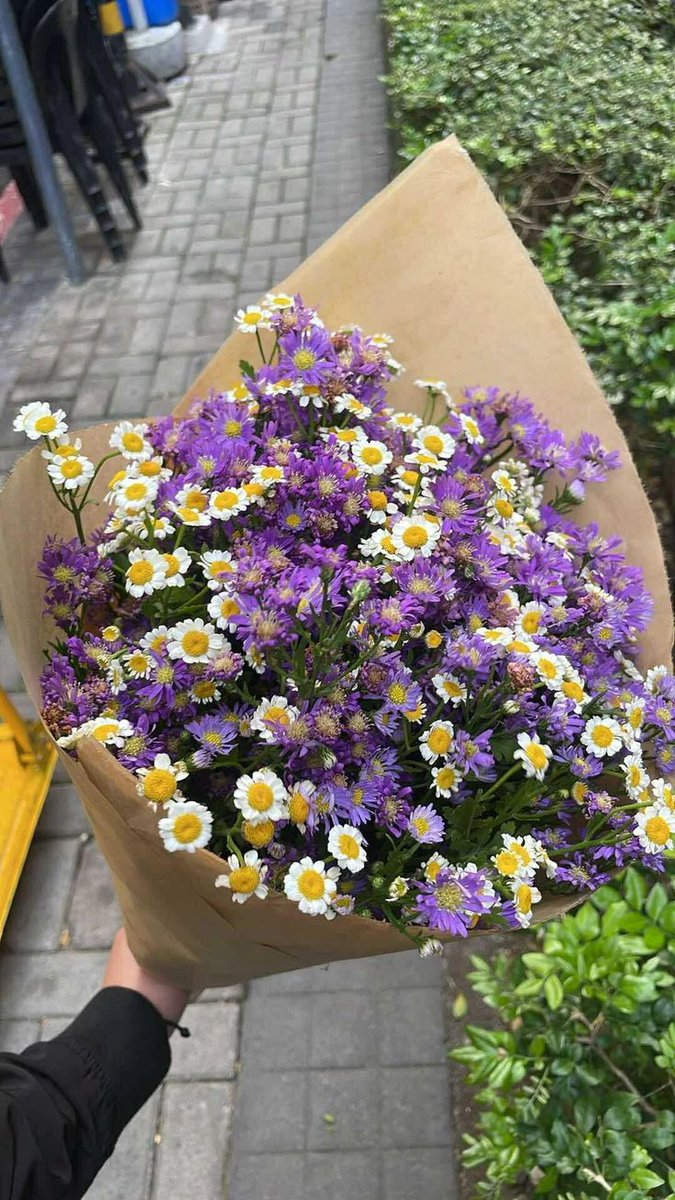 Bloomify tweet media