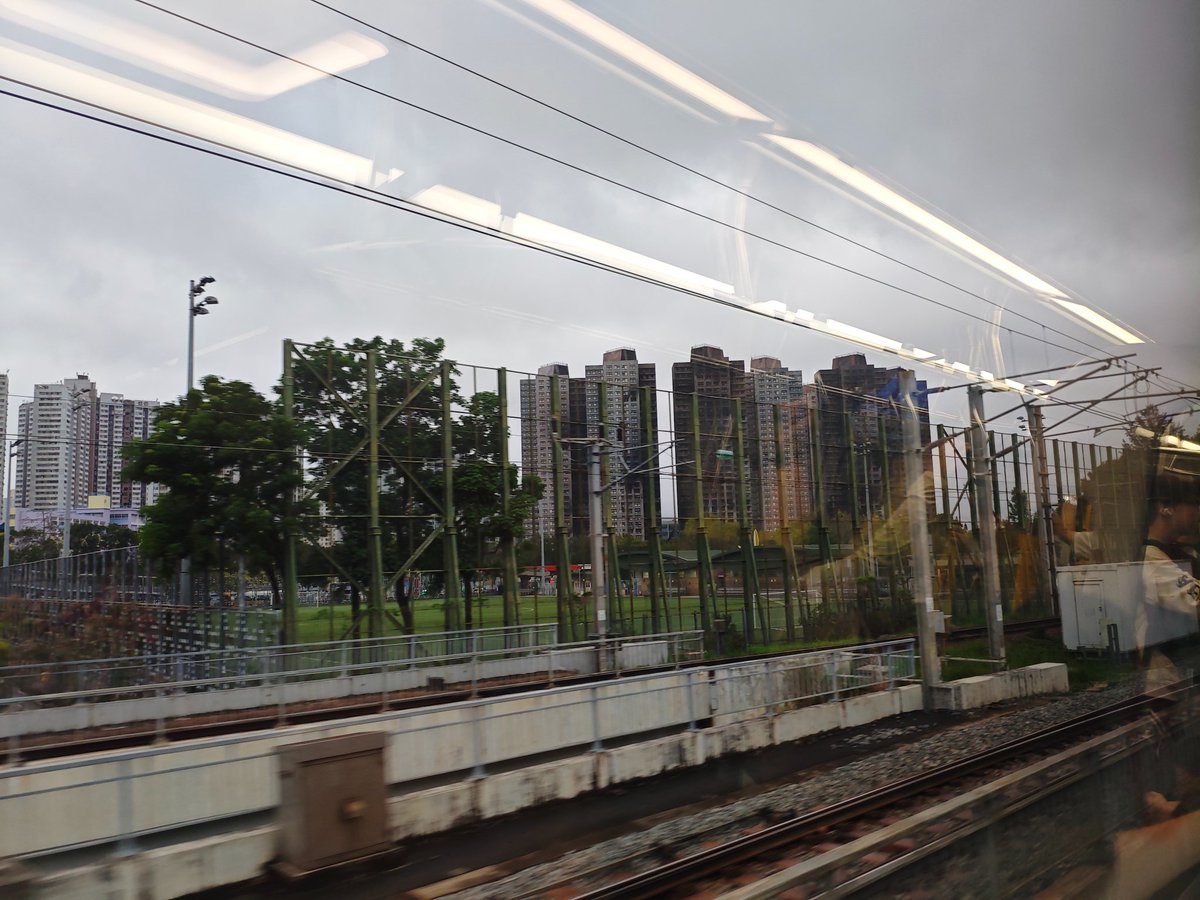 🌙つむぎ🍮 tweet media