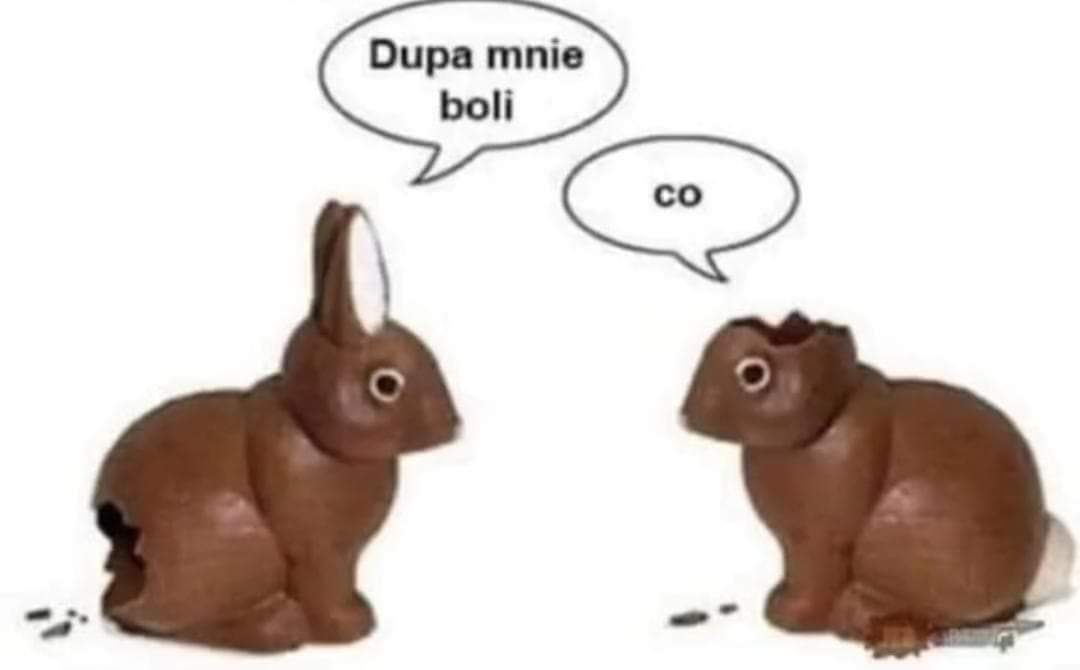 Filip🧛🪕 tweet media