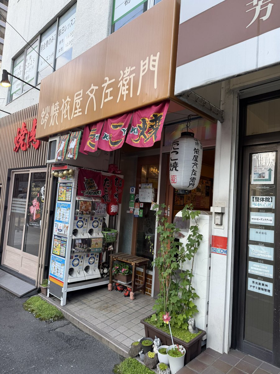 maoshan87 tweet media