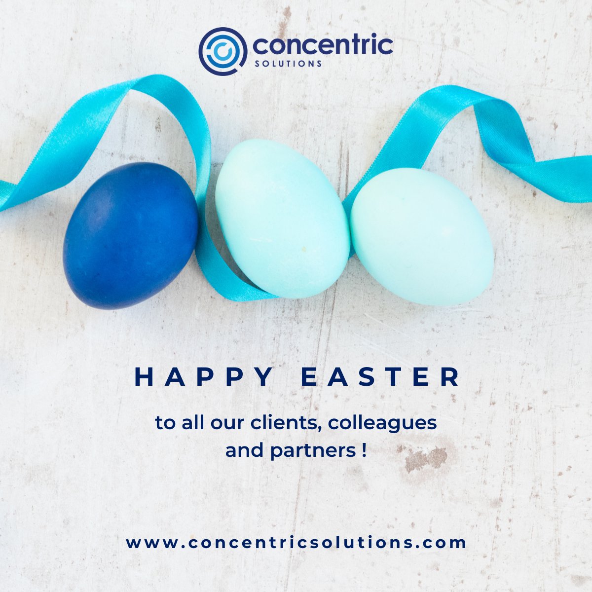 Concentric Solutions tweet media