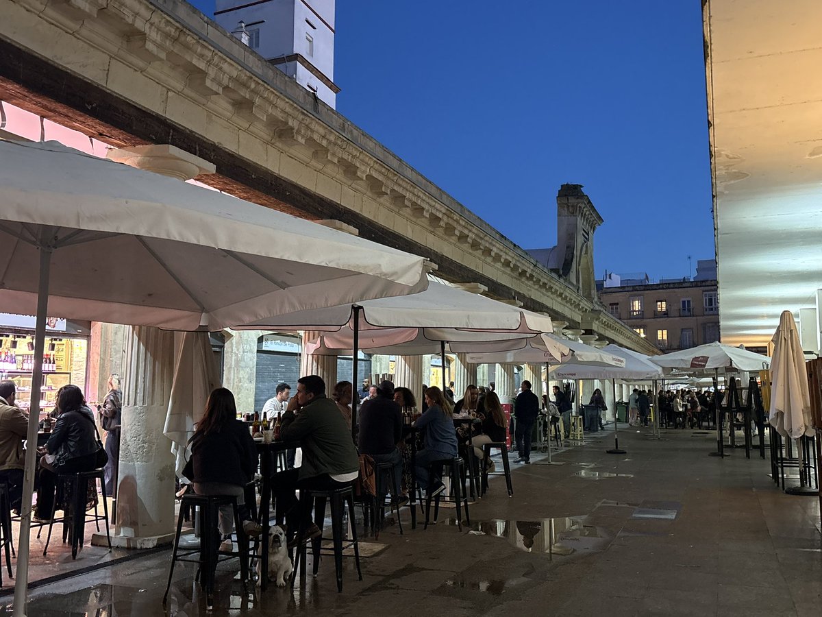 No Strange Kate tweet media