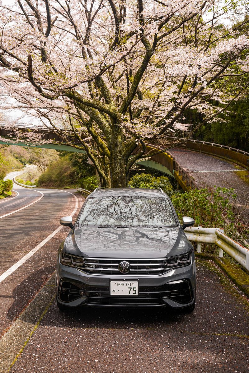 りょたそ tweet media