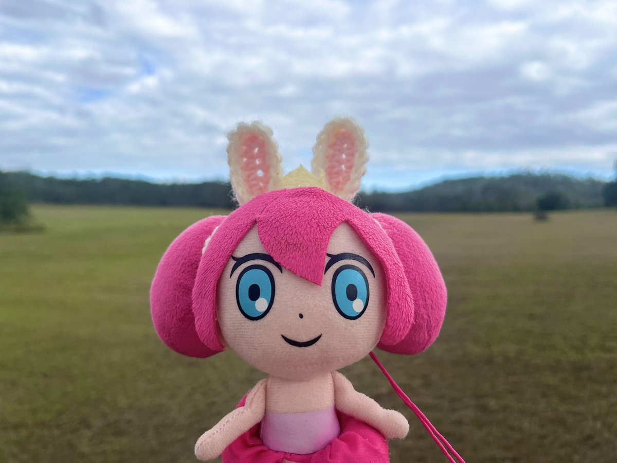 Momimo・∀・ tweet media