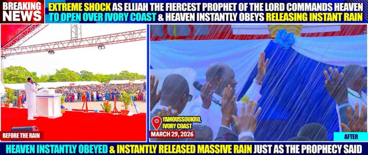 auroresth tweet media