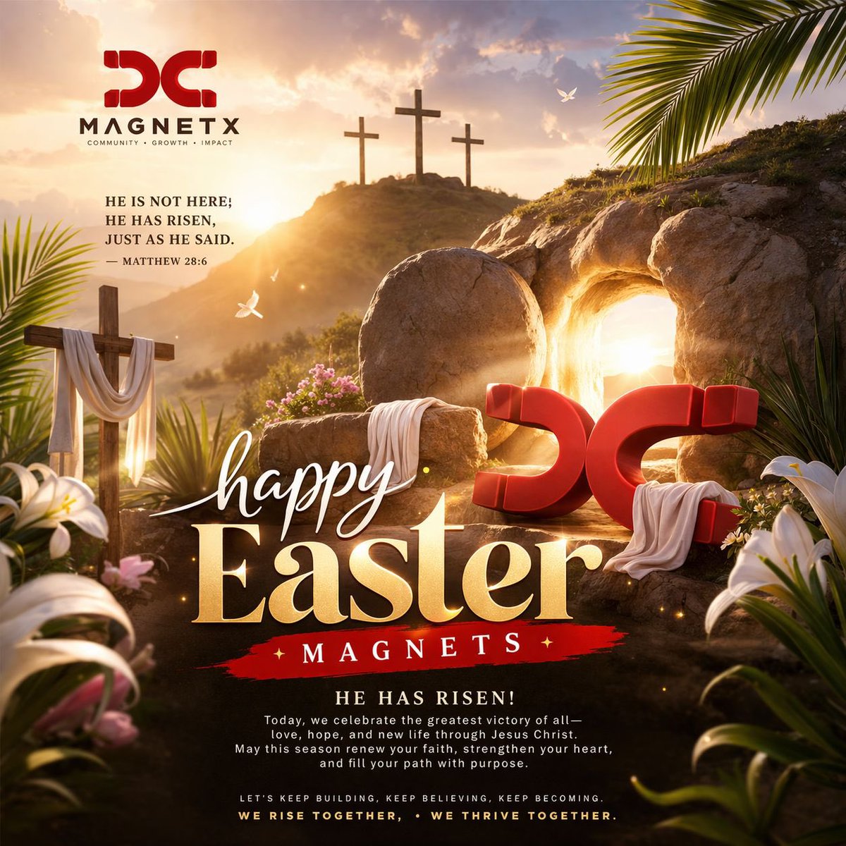 Magnet X ⭕️ tweet media