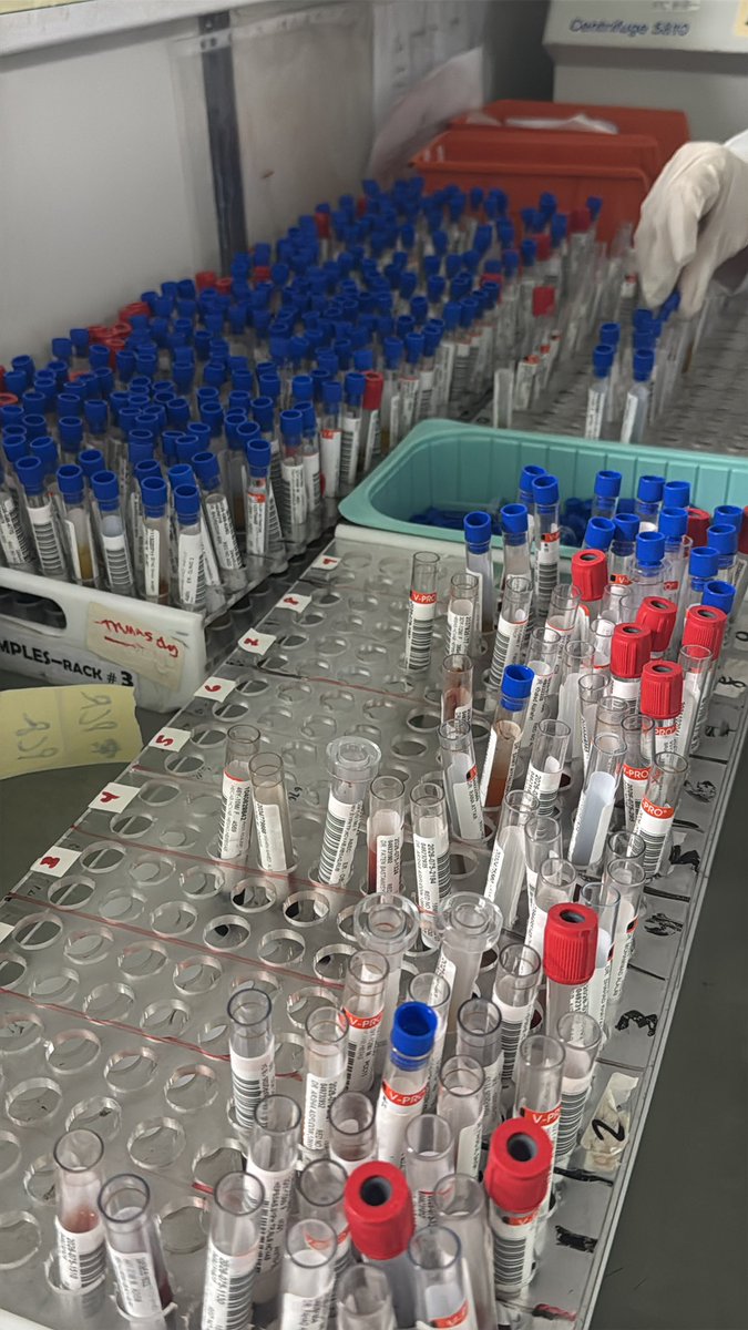 ___toleen's tweet photo. We continue the internship after a short but lovely break, and it is the first week in the serology rotation ❤️‍🩹 https://t.co/NPxHsxuaVY