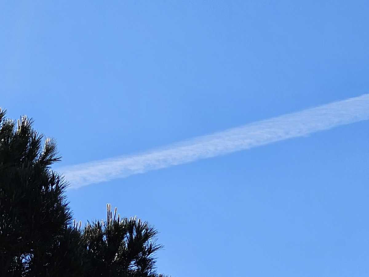 SpanglishBloke's tweet image. X marks the spot, to @Ryanair @vueling @easyJet and all the other evil bastards spraying toxic metals &amp;amp; undoubtedly micro organisms coupled with nanotech into our atmosphere; a challenge: if this is just water vapour then drink a litre of it! #Geoengineering #Chemtrails #Poison