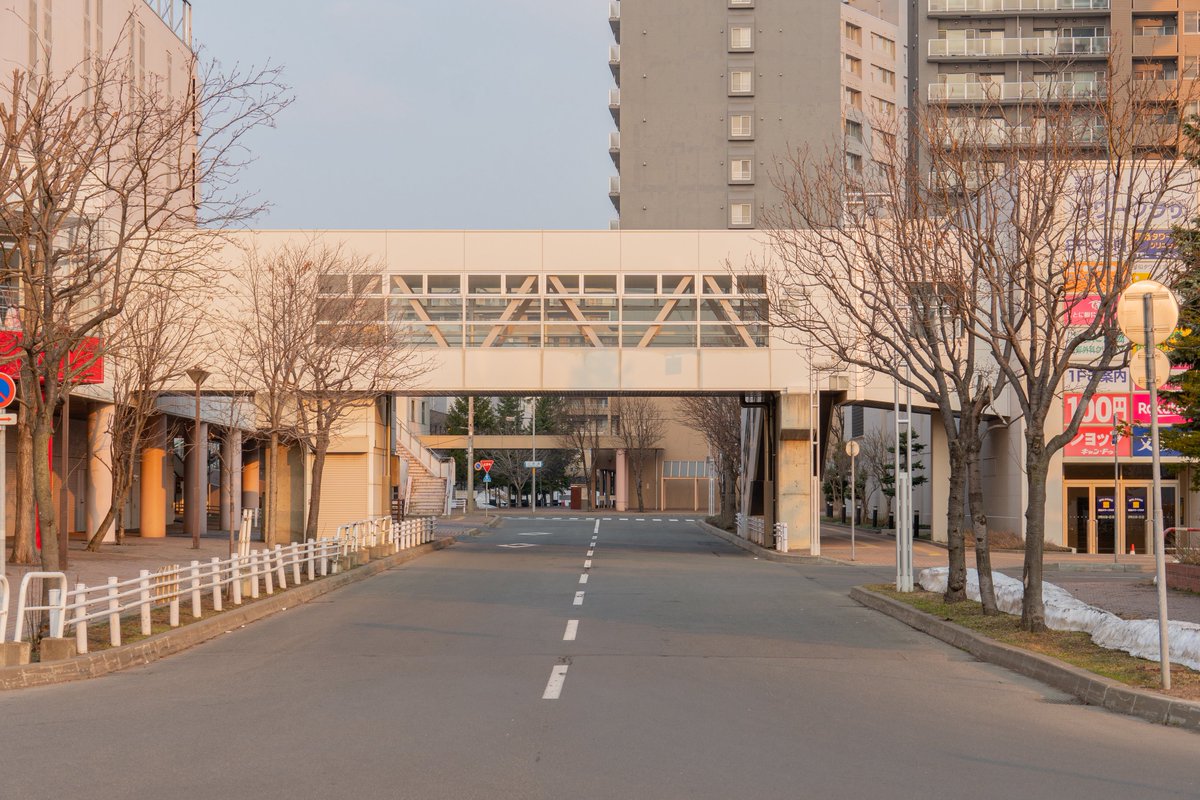 YURI_Hokkaido tweet media