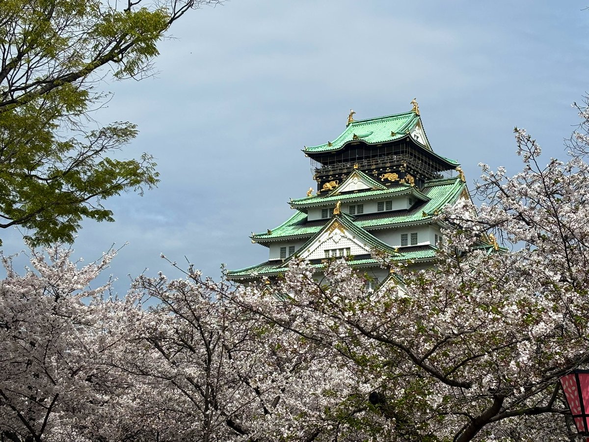 りおまる tweet media