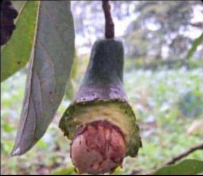 Precious`K tweet media