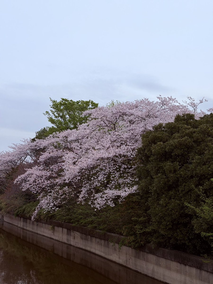 takaciyan0120🇯🇵🇨🇦 tweet media