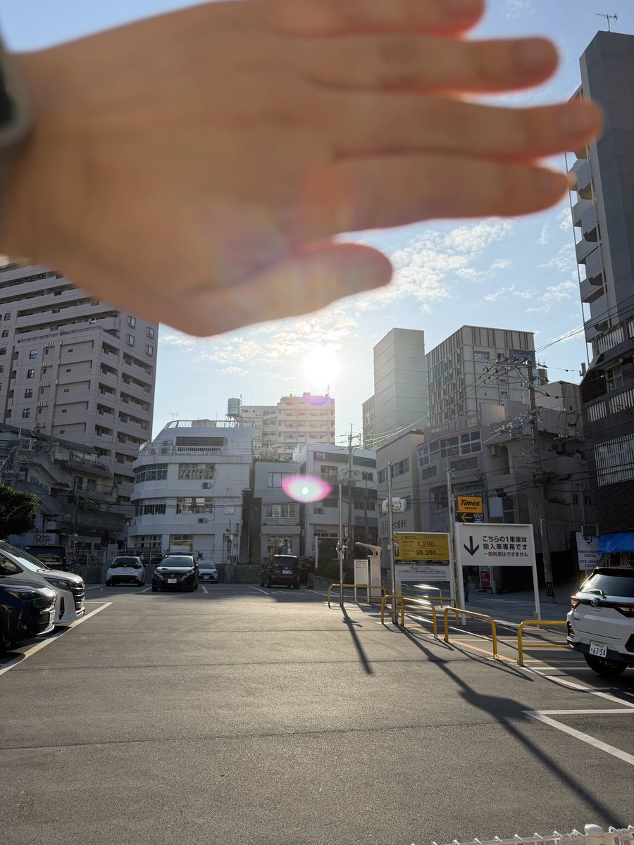 🅜🅢🅒 tweet media