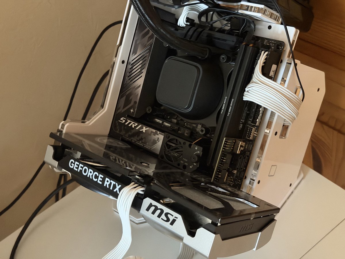 きゅれむ tweet media