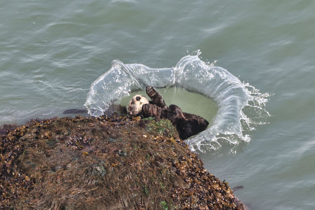 温根湯温泉の人♨️ tweet media