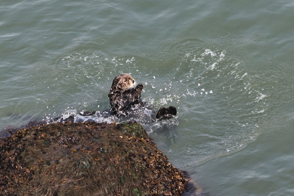 温根湯温泉の人♨️ tweet media