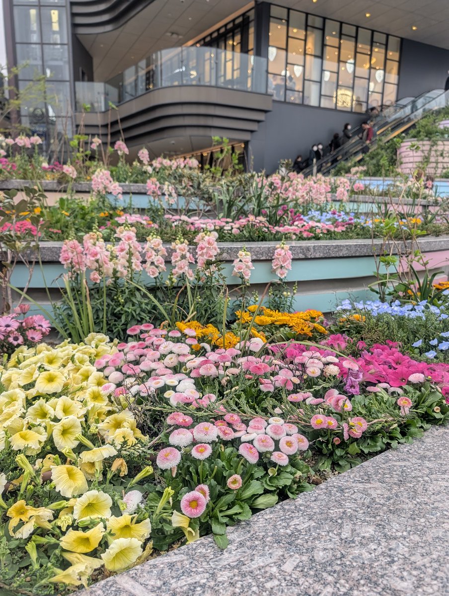 のりりん tweet media