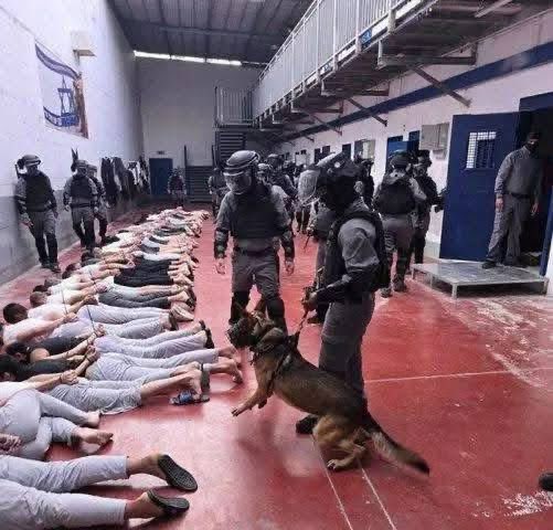 TonyMcAteer tweet media