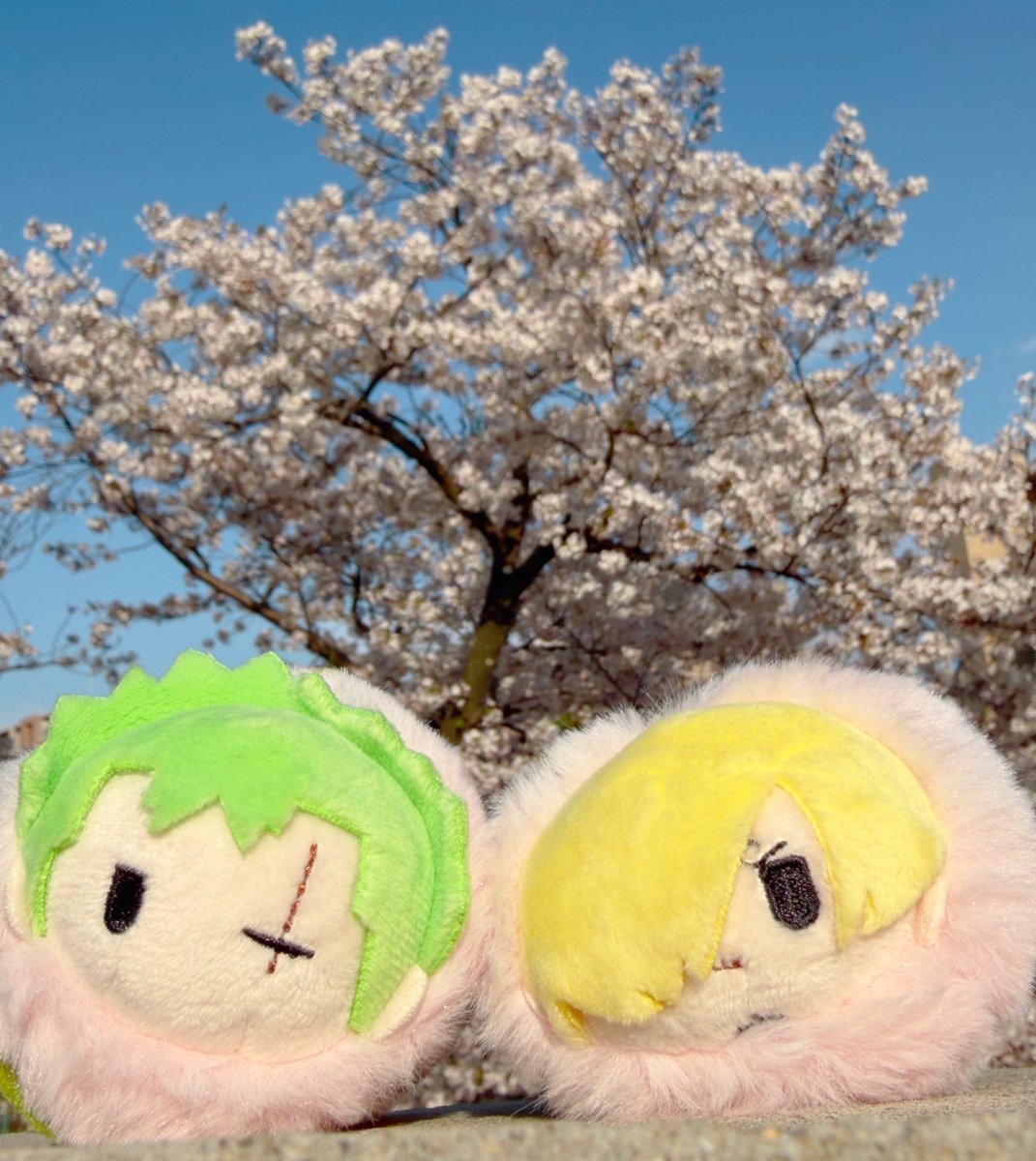 なめ通り tweet media