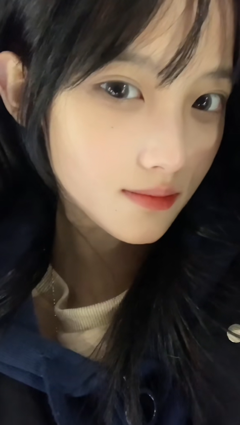 粉红骡子 tweet media