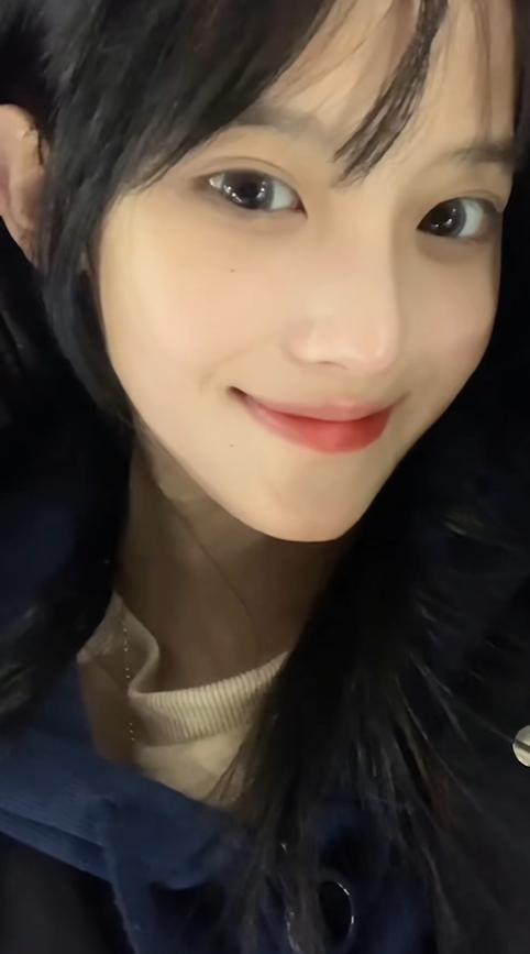 粉红骡子 tweet media