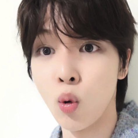 토숑이 tweet media