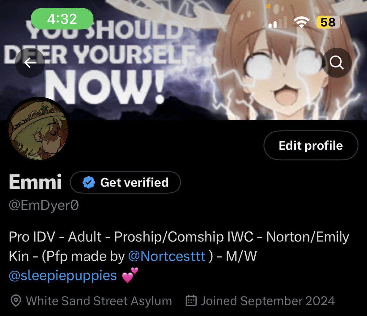 Pocketcat of Proshiptwt tweet media