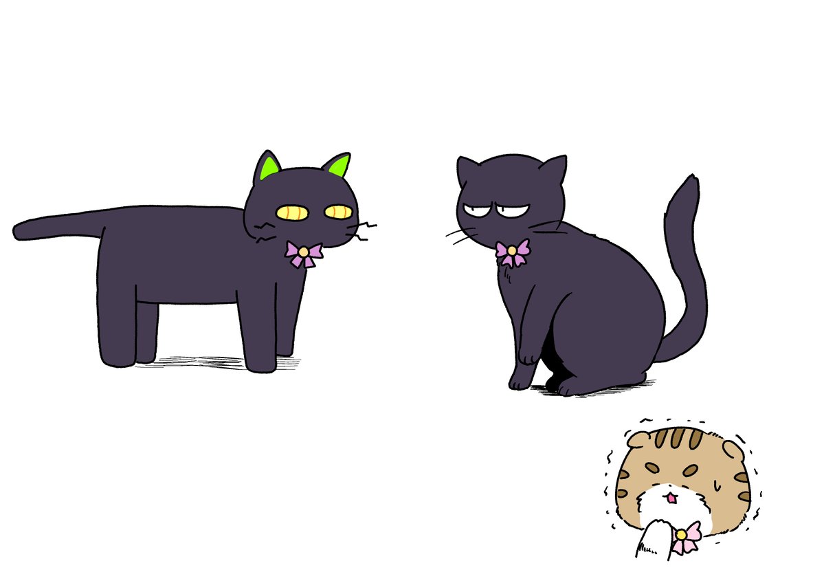 みゃお研 tweet media