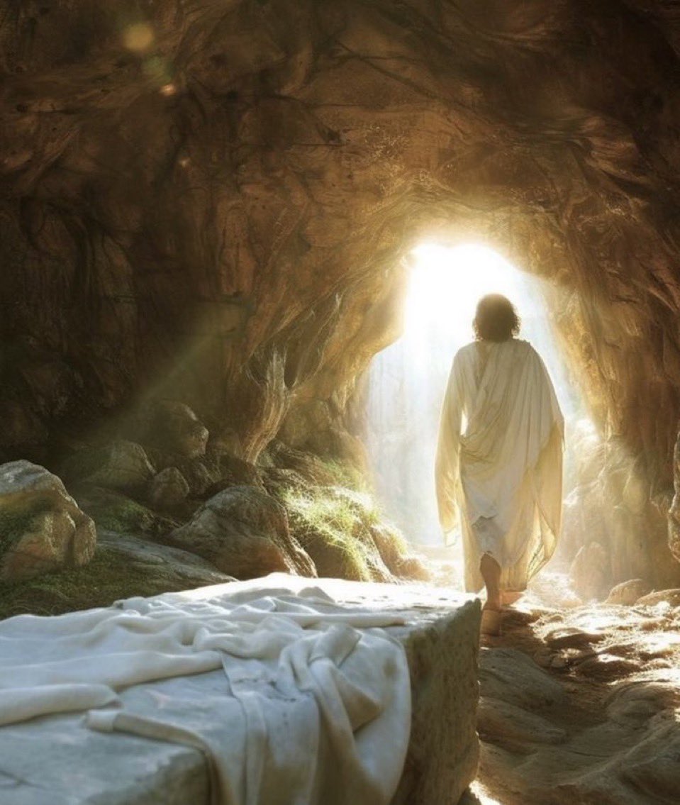 PP Comunidad de Madrid tweet media