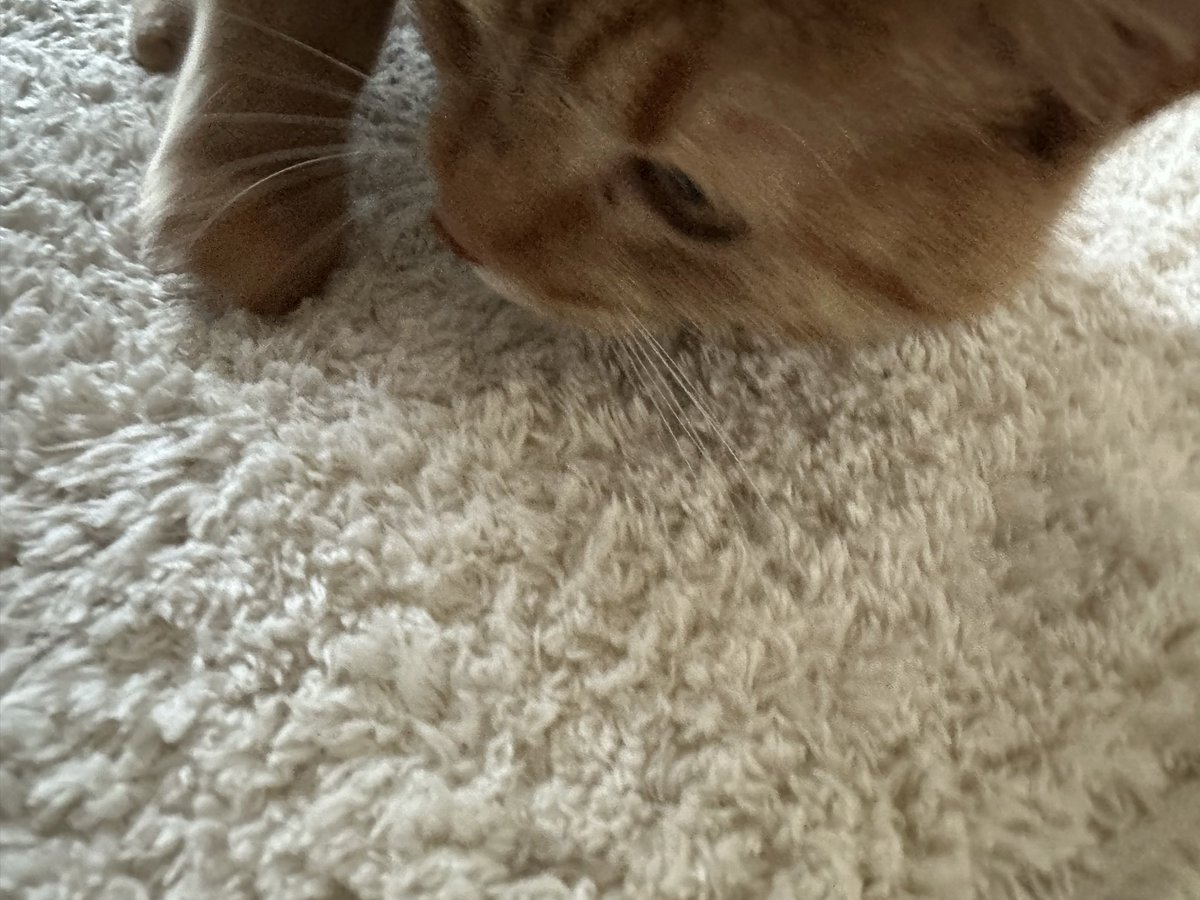 김영균 tweet media