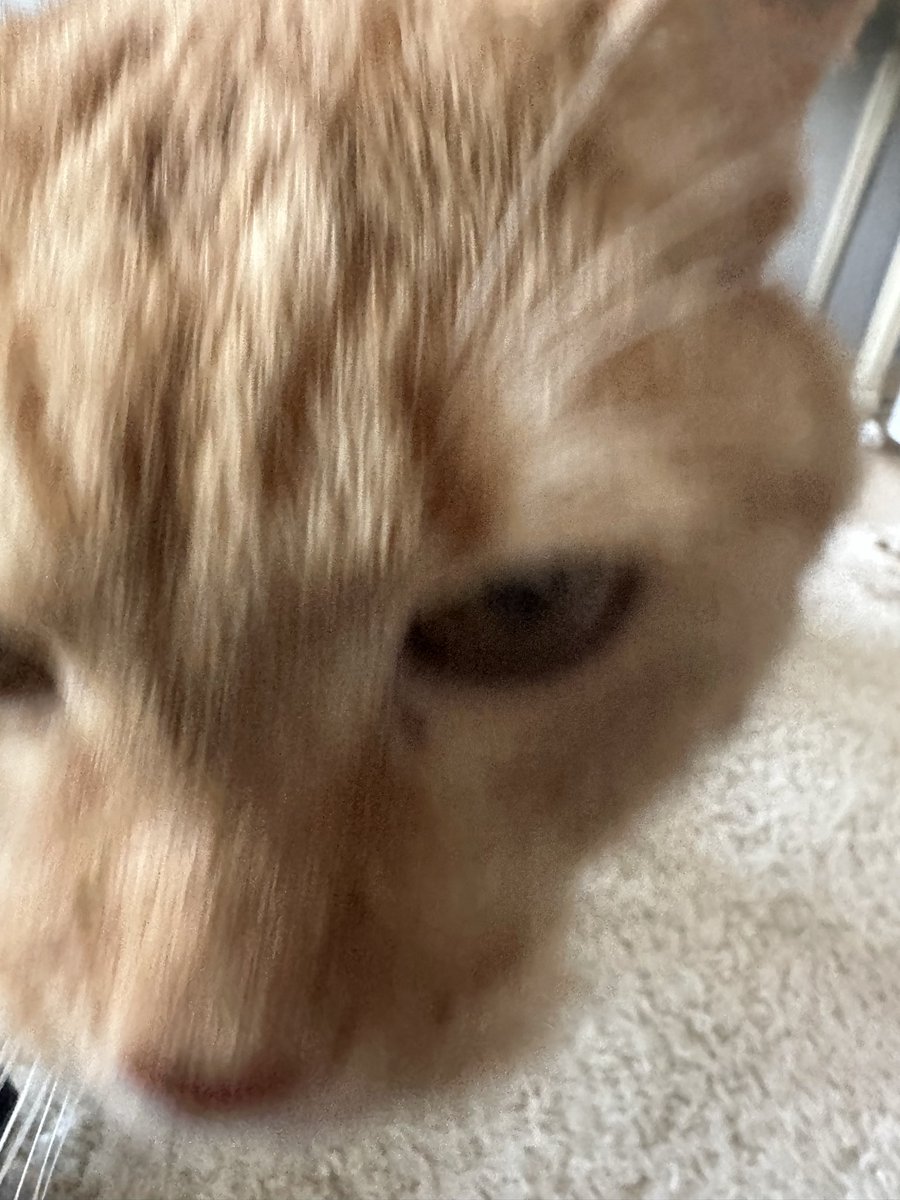 김영균 tweet media