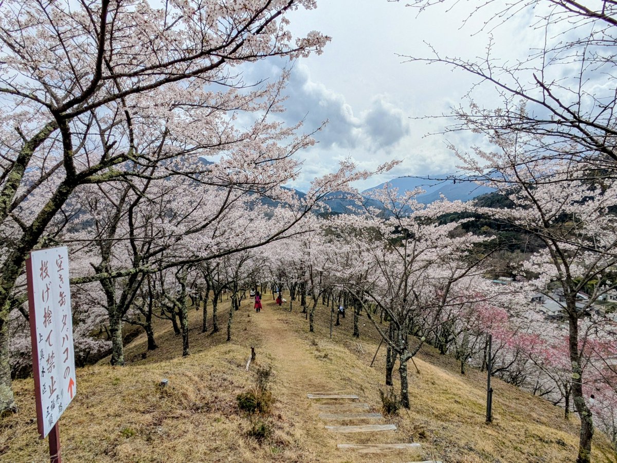 本陣跡・古民家 みどう本陣 tweet media