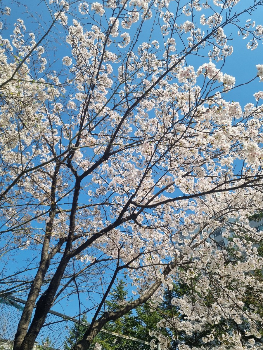 클라라나 tweet media