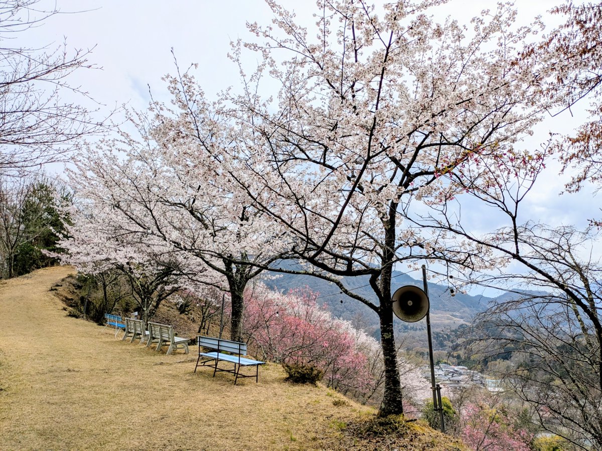 本陣跡・古民家 みどう本陣 tweet media
