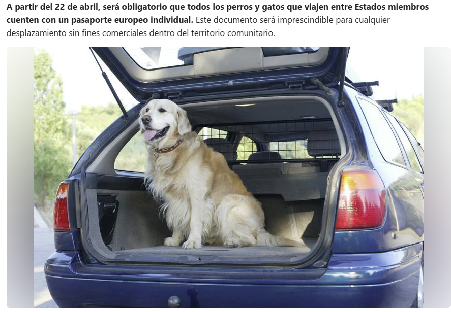 It's now or never tweet media