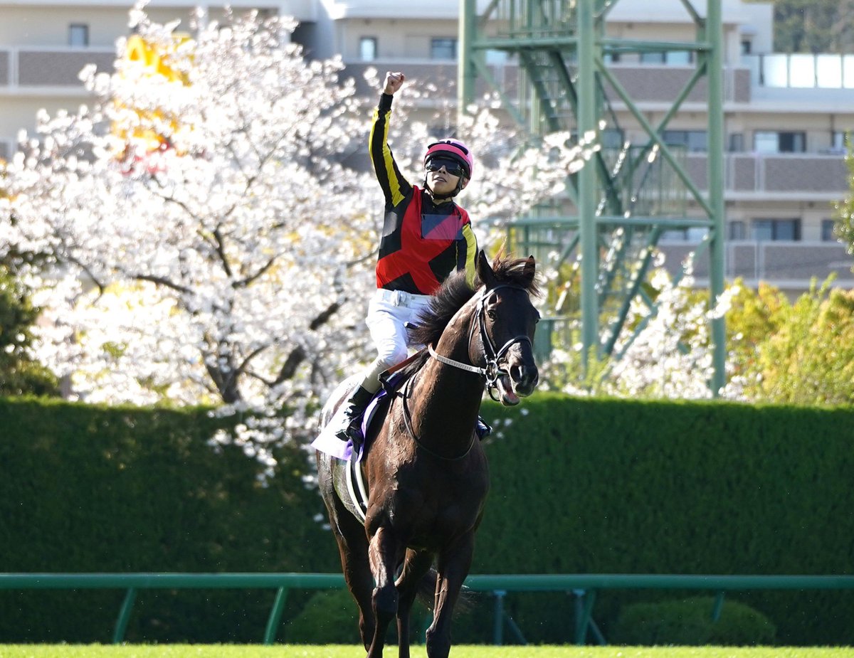 Satoshi Hiramatsu 平松さとし tweet media