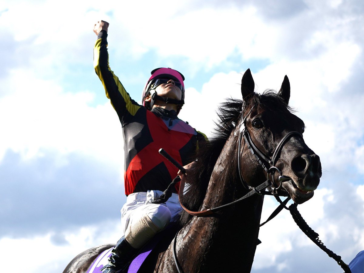 Satoshi Hiramatsu 平松さとし tweet media