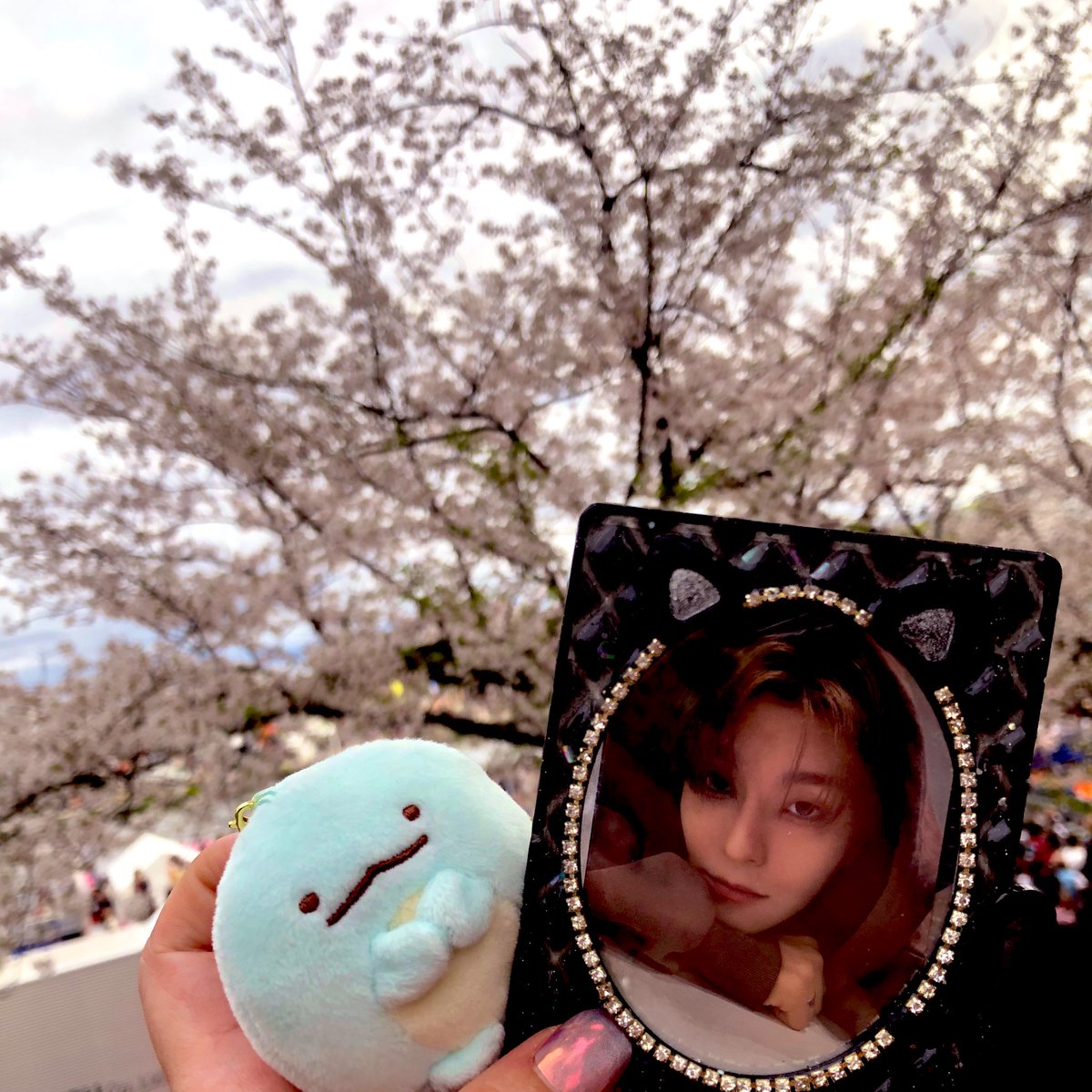 ホー・タオズー_ALLYZ🍑⚡️ tweet media