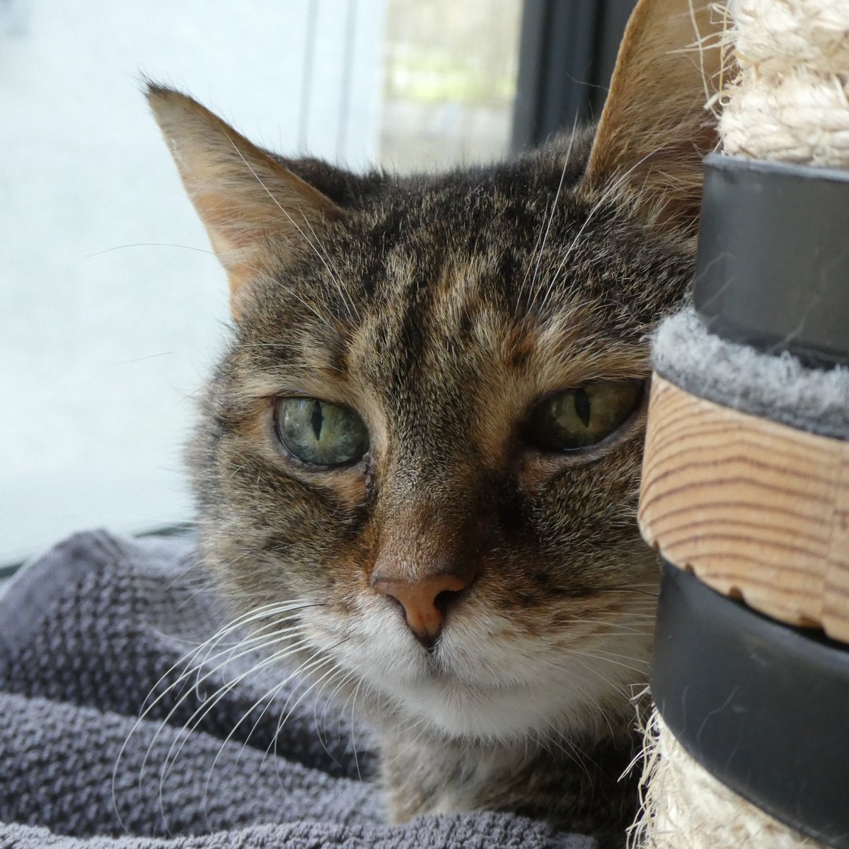 Beat Stocker tweet media