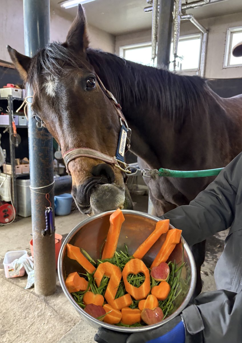 うらかわ優駿ビレッジAERU tweet media